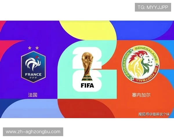 世界杯法国对阵塞内加尔比赛亮点全面解析与赛前预测分析